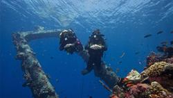 Komando Island - Maldives. Dive Centre. Wreck dive site - The Shipyard.